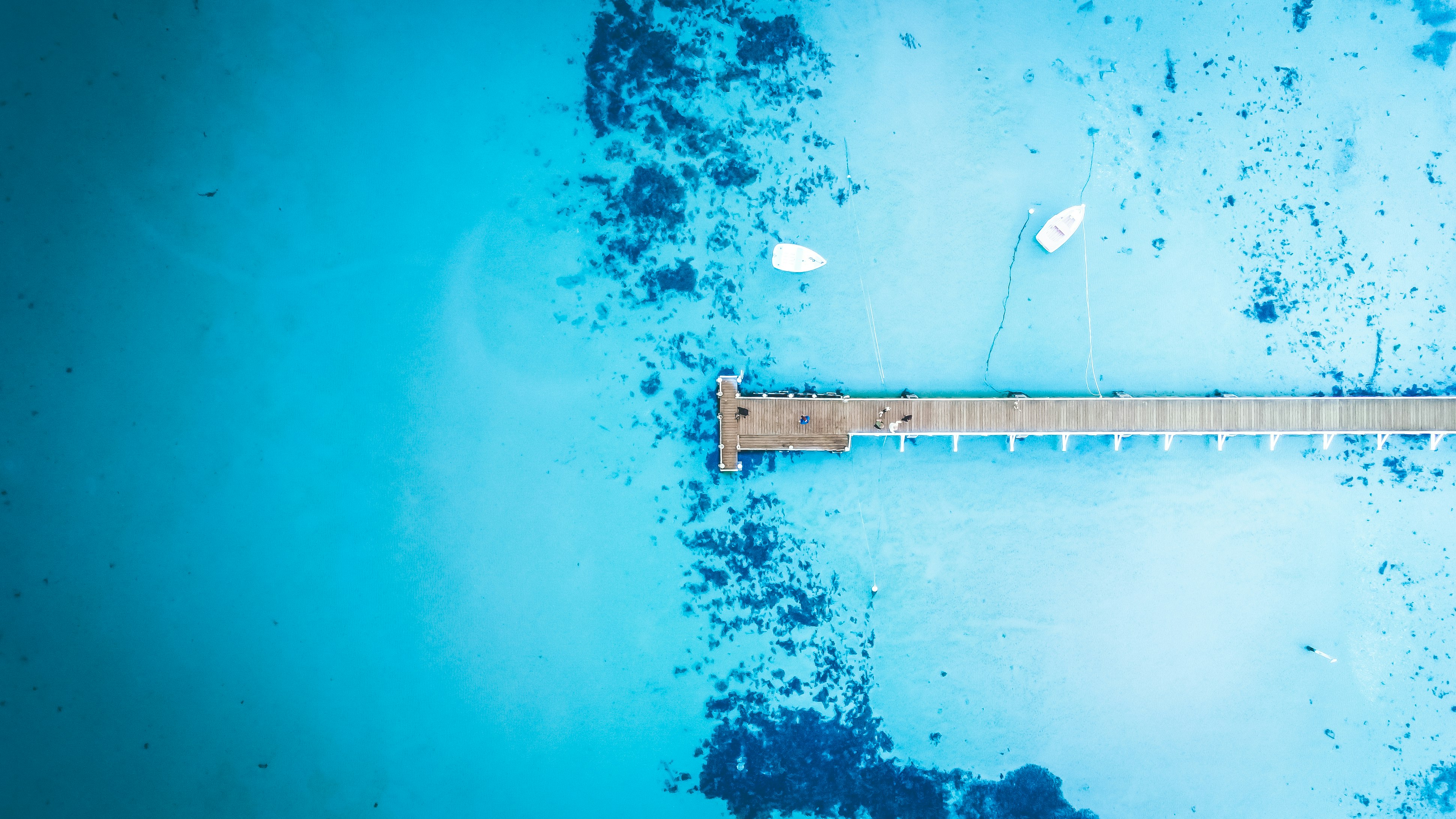 birds eye view of brown wooden dock on body of water